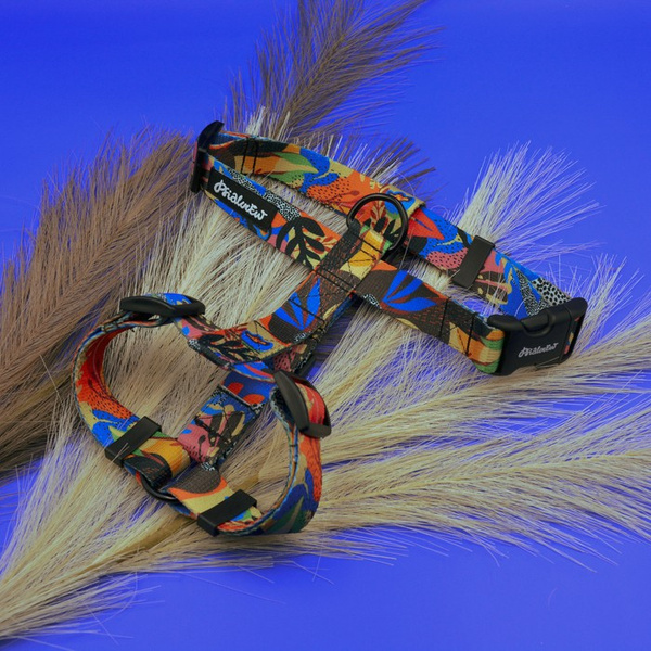 Guard Harness for Dog Colorful Thicket Psiakrew, black extras