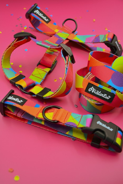 Hundeleine Kaleidoskop Psiakrew Breite 2 cm, schwarzer Karabinerhaken 6 cm