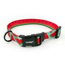 Dog Collar Psiakrew Watermelon 2.5 cm 1" wide, black extras