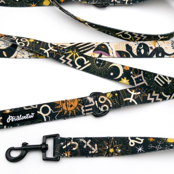 Hundeleine Zodiak Psiakrew, Breite 2,5 cm, Karabiner 6 cm schwarz