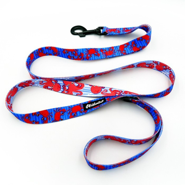 Hundeleine Sea Look Breite 2,5 cm, 1" breit, großer schwarzer Karabinerhaken 8 cm