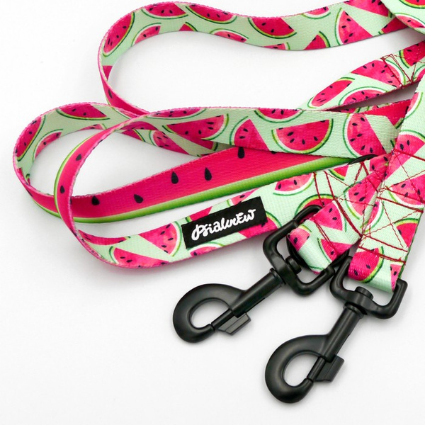 Dog Leash Watermelon width 2.5 cm, 1" wide, big black snap hook