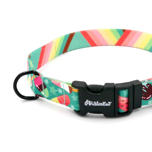 Verstellbares Hundehalsband Ice Ice Baby Psiakrew, Breite 2 cm, kleiner Hund, schwarze Beschläge