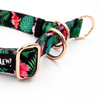 Half-choke collar Tropical Monstera, 2.5 cm wide, medium and big dogs, rose gold