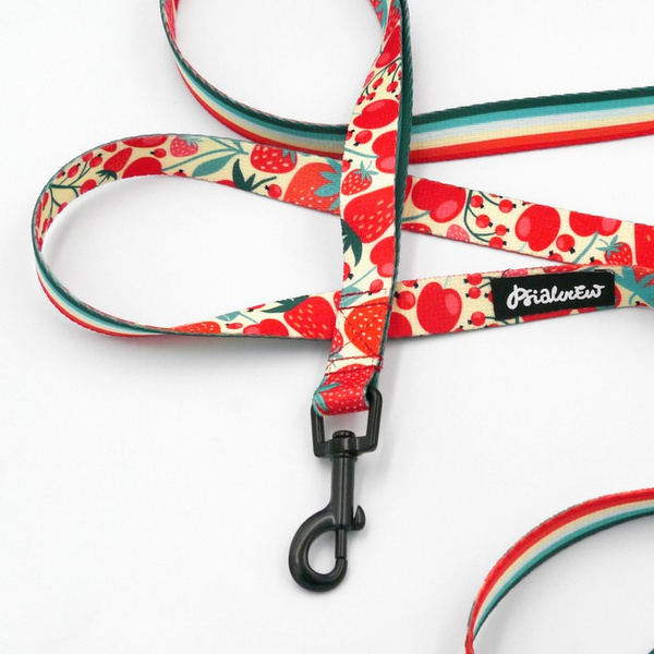 Walking leash for Dog Fruit Jelly Psiakrew, width 2 cm, black snap hook 6 cm