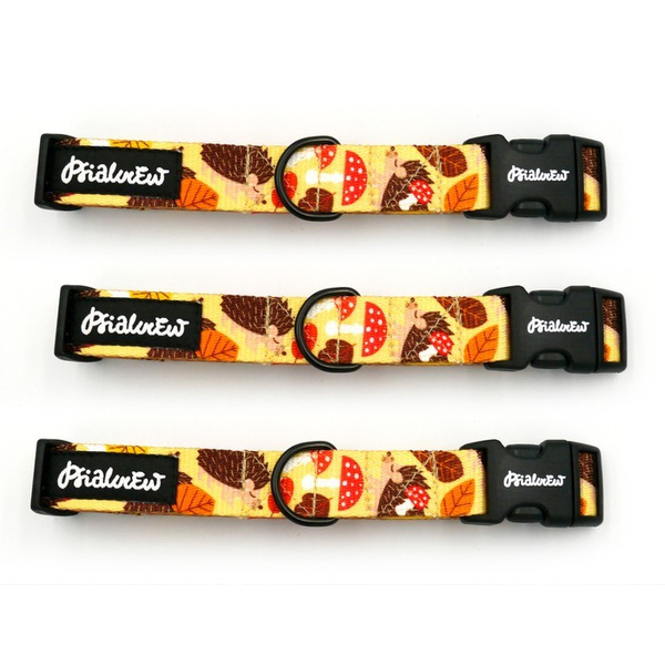 Obroża dla Psa Regulowana Jeż Marzyciel, 2 cm, dla mniejszych psów i szczeniaków czarne okucia