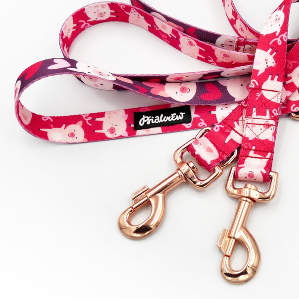 Lange Hundeleine abnehmbar verstellbar Piggy in Love Psiakrew Design Breite 2,5 cm, Karabiner roségold