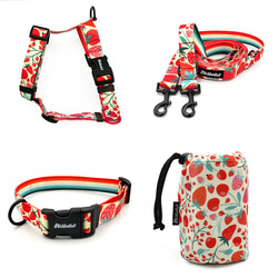 ACCESSORY KIT. Medium dog. Fruit Jelly Psiakrew Series; Collar, Harness, Leash, Sachet for dog treats