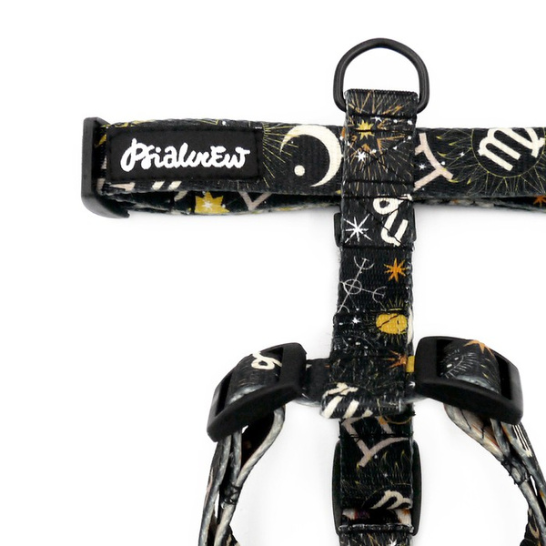 Harness for Dog, Model Zodiak Guard Harness Small Harness for small dogs, puppies, black extras