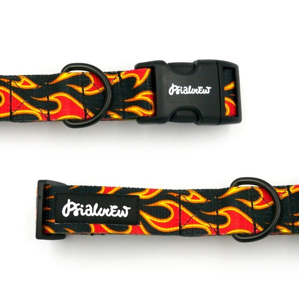 Dog Collar Psiakrew Dog On Fire 2.5 cm 1" wide, black fittings