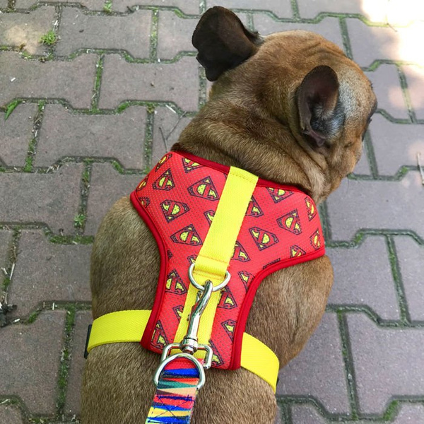 Szelki dla Psa Super Dog Bezuciskowe Wygodne Ultramiękkie Psiakrew