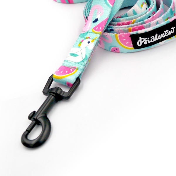 Laufleine für Hund Azure Pool Psiakrew, Breite 2 cm, schwarzer Karabinerhaken 6 cm