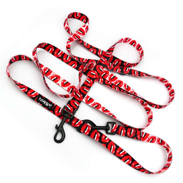 Long Dog Leash Lipstick width 2 cm (0.78") wide, black snap hook