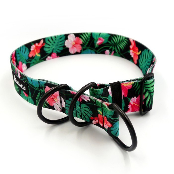 Half-choke collar Tropical Monstera, 4 cm wide, medium and big dogs, black extras