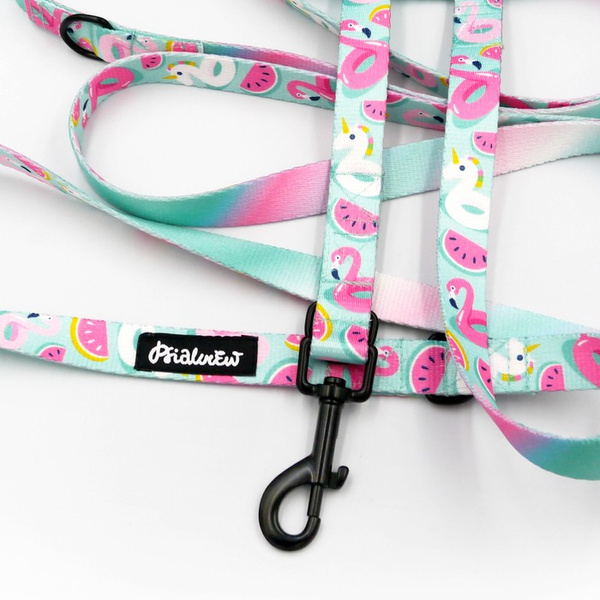 Hundeleine, lang, abnehmbar, verstellbar Azure Pool Psiakrew, Breite 2 cm, Karabiner schwarz 7 cm