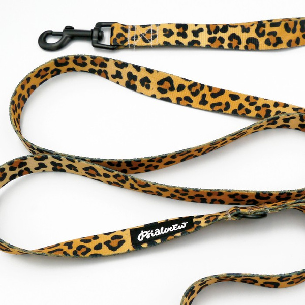 Urban Dog Walking Leash Tarzan Psiakrew, width 2 cm, black snap hook 6 cm