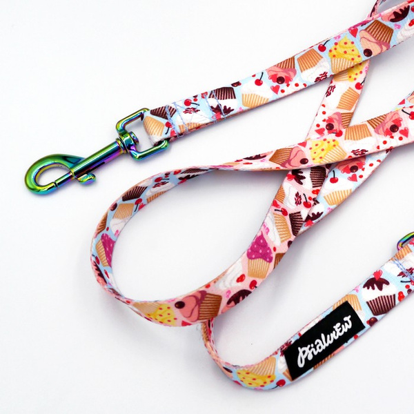 Dog Leash Hot Sweetness width 2 cm 0.78 ", holo snap hook 7 cm