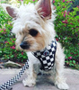 Dog Harness, Always Feeling Cool, Super Soft Psiakrew Checker
