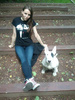 Women's T-shirt Bull Terrier Bull Father Psiakrew