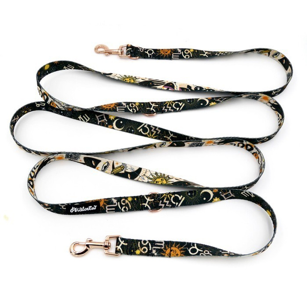 Long Dog Leash Zodiak width 2 cm (0.78") wide, rose gold snap hook 6 cm