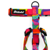 Harness for Dog Kaleidoscope Psiakrew Guard Harness Small Harness for small dogs, puppies, black extras