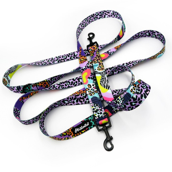 Dog Leash Crazy Leopard width 2.5 cm, 1" wide, snap hook black 6cm