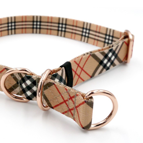 Halb-Klemmhalsband Dogberry Psiakrew, 2,5 cm, für mittelgroße und größere Hunde, Extras rosagolden