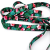 Dog Leash Tropical Monstera width 2.5 cm, 1" wide, big gold snap hook 8 cm