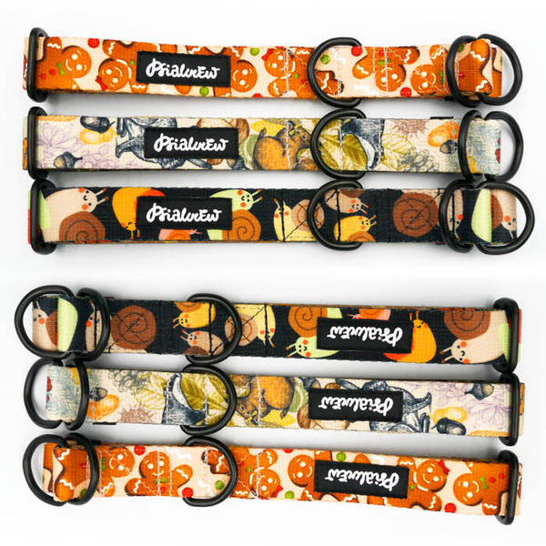 Half-choke collar Snail Family Psiakrew, 2.5 cm wide, medium and big dogs, black extras