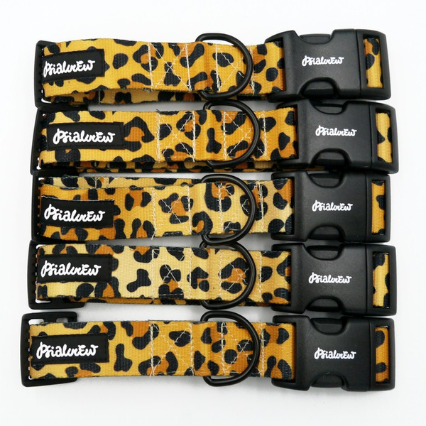 Dog Collar Psiakrew Tarzan 3 cm, 1.18" wide