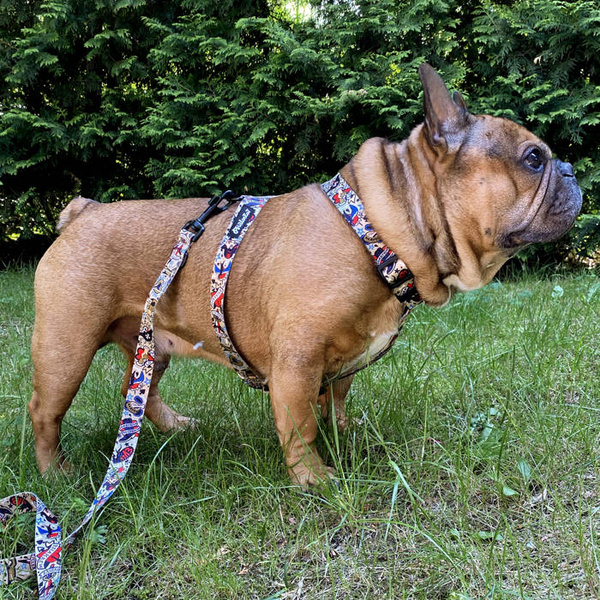 Harness for Dog, Model Dog Tattoo Flash Guard Harness, black extras