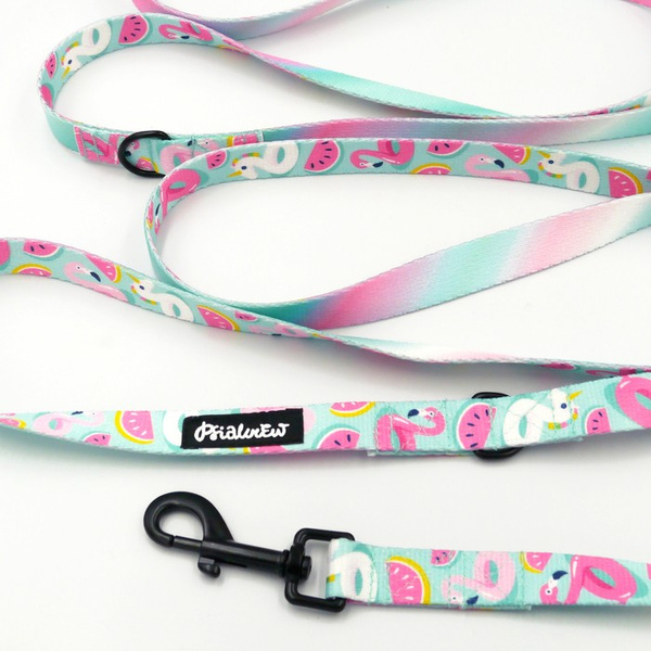 Long Dog Leash Azure Pool Psiakrew width 2 cm (0.78"),  black snap hook 7 cm (3,15")