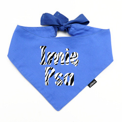 Niebieska Bandana z imieniem Psa Psiakrew, personalizowana apaszka Zebra