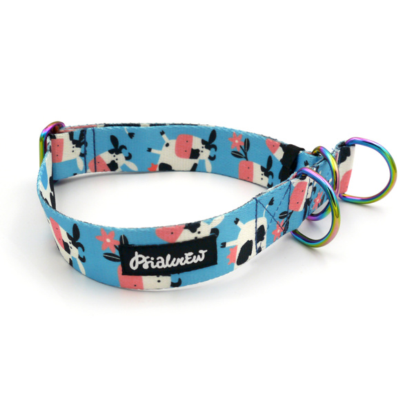 Halbzug-Hundehalsband „Gefleckte Kuh“ von Psiakrew 3 cm, holo Beschläge