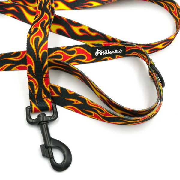 Hundeleine Dog On Fire Breite 2,5 cm, 1" breit, kräftiger schwarzer Karabiner 8cm