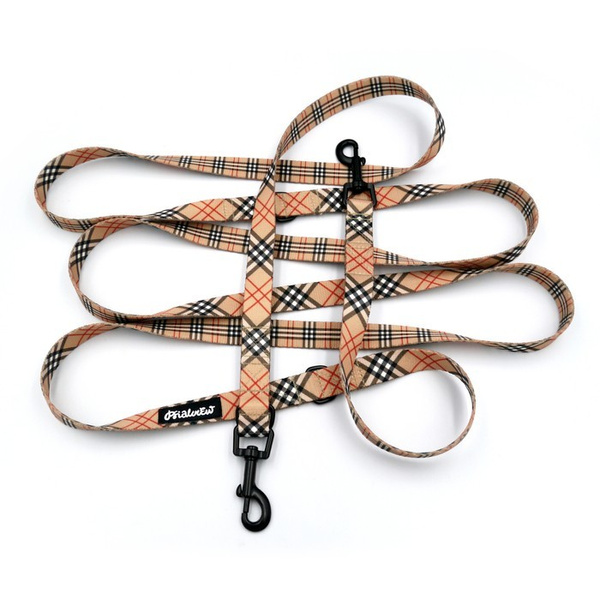 Hundeleine Dogberry Psiakrew Breite 2 cm, schwarzer Karabinerhaken 6 cm