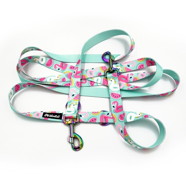 Dog Leash -Azure Pool, width 2.5 cm, 1"  wide, holo snap hook 8cm, Psiakrew