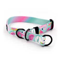 Half-choke collar Azure Pool, 2 cm wide, for small dogs, black extras