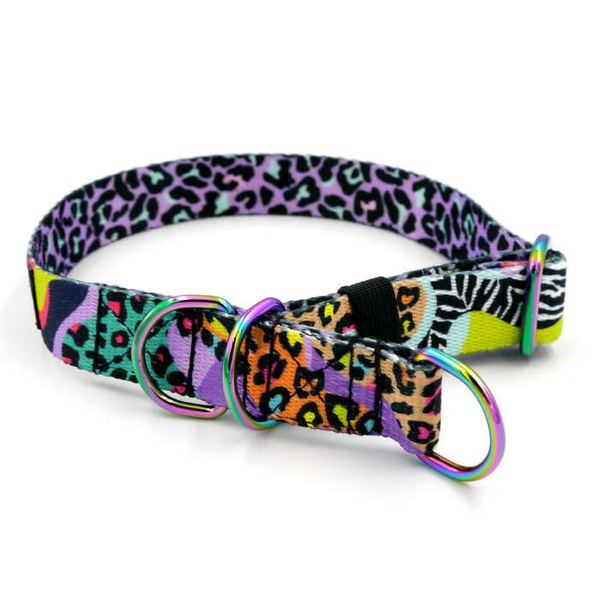 Half-choke collar Crazy Leopard, 2 cm wide, for small dogs, Holo extras
