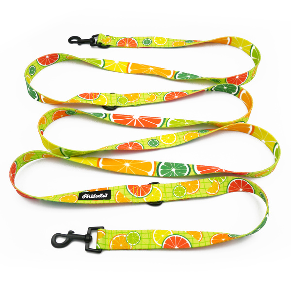 Lange verstellbare Hundeleine Lemoniada Psiakrew, Breite 2,5 cm, schwarzer Karabiner 6 cm