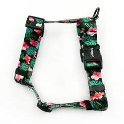 Hundegeschirr, Tropical Monstera Psiakrew, mittlere und größere Hunde, 2,5 cm Gurtband, schwarze Beschläge