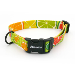 Verstellbares Halsband Lemonade Psiakrew, 2cm breit, schwarze Beschläge