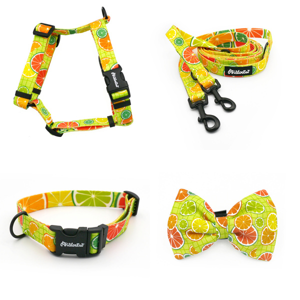 ACCESSORY KIT. Small dog. Lemonade Psiakrew Series; Collar, Harness, Leash, Bow tie
