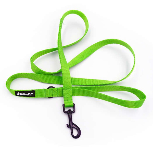 Lime Dog Leash width 2 cm 0.78 ", black extras