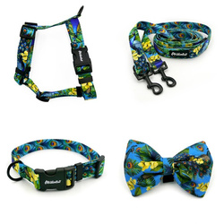 ACCESSORY KIT. Medium dog. Psiakrew Peacock's Eye Series; Collar, Harness, Leash, Bow tie