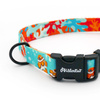 Dog Collar Blue Lagoon Psiakrew, 2 cm 0.78"  wide, for smaller dogs