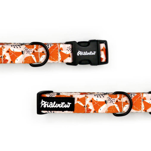 Verstellbares Hundehalsband Foxy Lady Psiakrew, Breite 2 cm, kleiner Hund, schwarze Beschläge