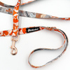 Walking leash for Dog Foxy Lady Psiakrew, width 2 cm, golden snap hook 6 cm