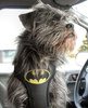 Dog Harness Bat Dog, Always Feeling Cool, Super Soft Psiakrew black extras