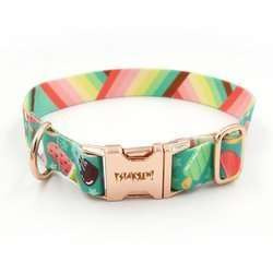 Obroża dla Psa Ice Ice Baby 2,5 cm dla średnich i większych psów, klamra różowe złoto